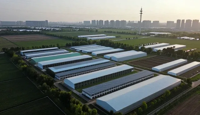 提升市场调研效率的关键操作与日常维护建议